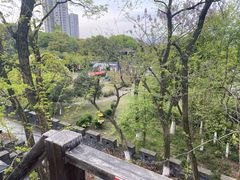 -小湾茶楼