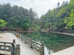 -四明山国家森林公园