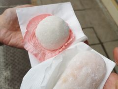 -澳门长洲糯米糍(柯打苏沙街店)