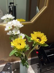 -苑苑vbeauty科技美容SPA