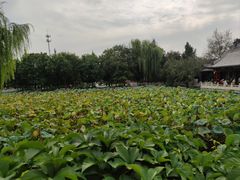 -莲池书院博物馆