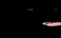 -痒刺青