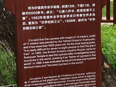 -黄帝陵