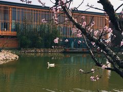 -田园东方蜜桃村的田野营地