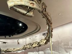 -自贡恐龙博物馆