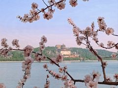 -颐和园