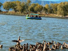 -野鸭湖国家湿地公园