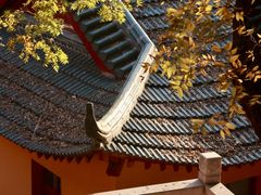 -狼山风景名胜区