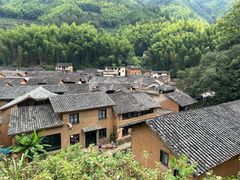 -杨家堂村