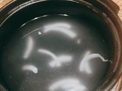 -春润大地海南椰子鸡(沙井京基百纳广场店)