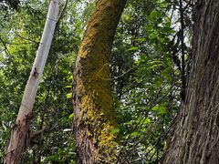 -南国桃园旅游度假区