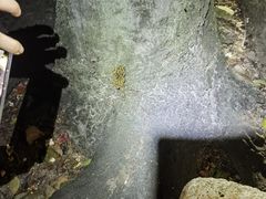 -火炉山森林公园
