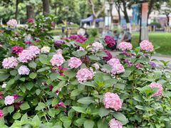 -常州古运河南大街文化旅游区-人民公园