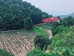 -云峰山自然风景区