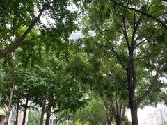 -星巴克(北京太平桥大街店)