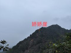-南山植物园