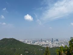 -佛慧山