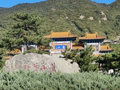 -晨汐石苑·清真菜农家院