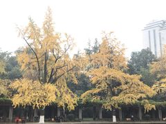 -四川大学(华西校区)