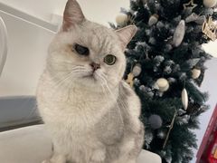 -comecome来吧宠物(奥克斯中心店)