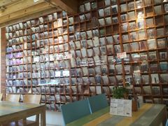 明信片-猫的天空之城概念书店(丽江古城饮玉巷店)