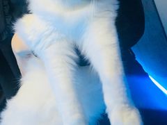 -零纪元VR体验馆·桌游(黄浦店)