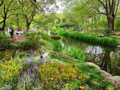 -上海共青森林公园