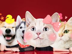 -海马体照相馆|大师(北京华贸中心店)
