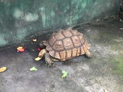 -台山第一家兴华黄鳝饭·黄鳝婆(开平店)