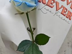 -FEI FEI FLOWER鲜花店·气球派对·宝宝宴布置(虹口德必运动Loft店)