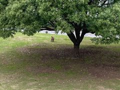 -苏州环秀晓筑养生度假村