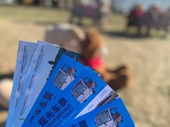 -长春世界雕塑园冰雪艺术天地