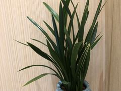 -聚福宝合苑食府(南头镇店)