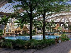 -杭州开元森泊度假乐园