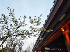 -丝绸小镇荻港古村