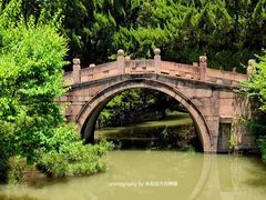 -上海醉白池公园