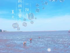 -奉贤海滩
