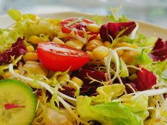 -北京东三环希尔顿逸林酒店