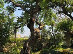 -Chom Cafe and Restaurant