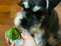 -王家沙点心店(万航渡路店)