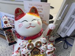 -美可普口腔医院(东街分店)