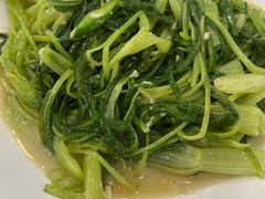 -华翔农庄(沙埔店)