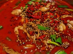 -宽口美蛙鱼头(大唐西市店)