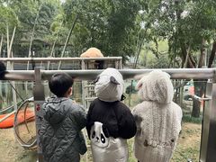 -紫藤园·天目湖大鱼头(南山竹海店)