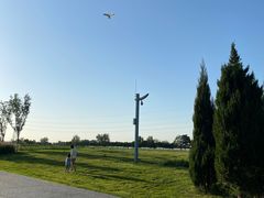 -汉长安城未央宫国家考古遗址公园