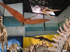 -湖南省地质博物馆