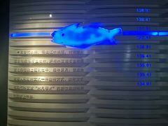 -白鹤梁水下博物馆