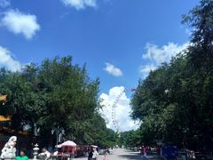 -哈尔滨文化公园