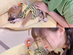 -逗柴咖啡屋·狗咖猫咖宠物桌游