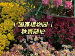 -国家植物园